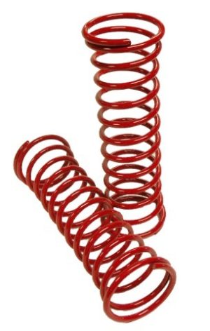 Strut Spring Set, Super Beetle 71-79