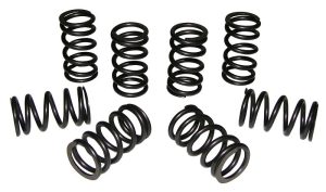 Valve Springs, Hi Performance (8)